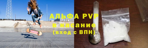 индика Семилуки