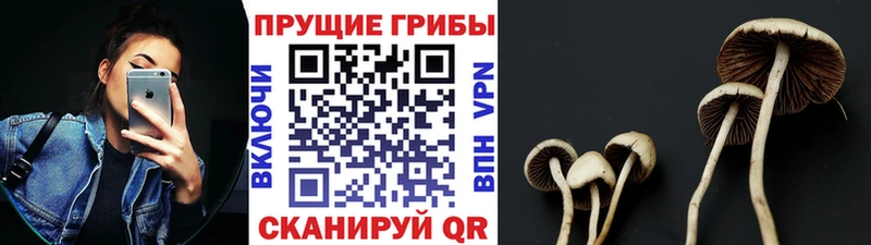 Псилоцибиновые грибы MAGIC MUSHROOMS  Курчатов 